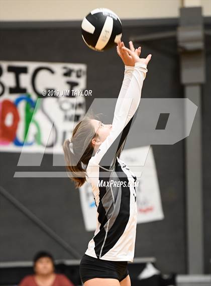 Thumbnail 2 in Chico @ Graford photogallery.