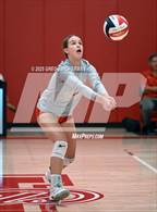 Photo from the gallery "San Domenico @ University"