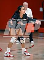 Photo from the gallery "San Domenico @ University"