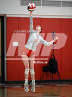 Photo from the gallery "San Domenico @ University"