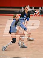 Photo from the gallery "San Domenico @ University"