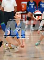 Photo from the gallery "San Domenico @ University"