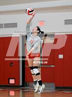 Photo from the gallery "San Domenico @ University"