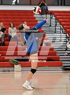 Photo from the gallery "San Domenico @ University"