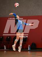 Photo from the gallery "San Domenico @ University"