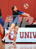 Photo from the gallery "San Domenico @ University"