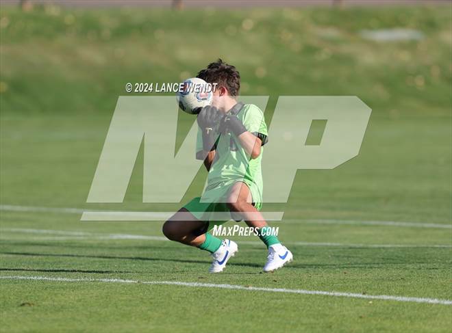 null - Photo 21
