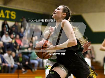 Thumbnail 2 in Argonaut @ Sonora photogallery.