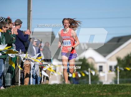 Thumbnail 3 in PIAA District IV Class AA Championship photogallery.