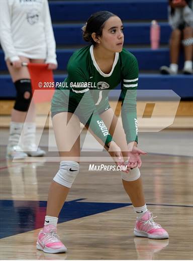 null - Photo 11