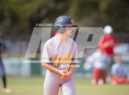 Thumbnail 3 in Harris County vs Northgate (GHSA 5A State Tournament) photogallery.