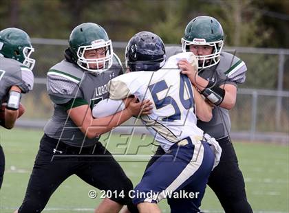 Thumbnail 2 in Evergreen @ Conifer photogallery.