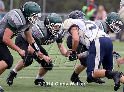Thumbnail 1 in Evergreen @ Conifer photogallery.