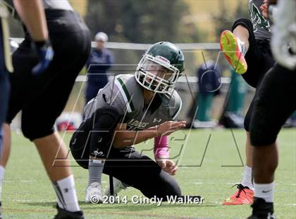 Thumbnail 3 in Evergreen @ Conifer photogallery.