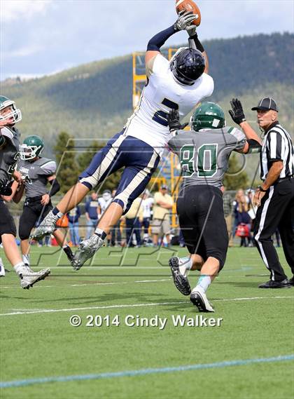 Thumbnail 3 in Evergreen @ Conifer photogallery.