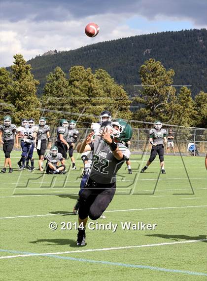Thumbnail 3 in Evergreen @ Conifer photogallery.