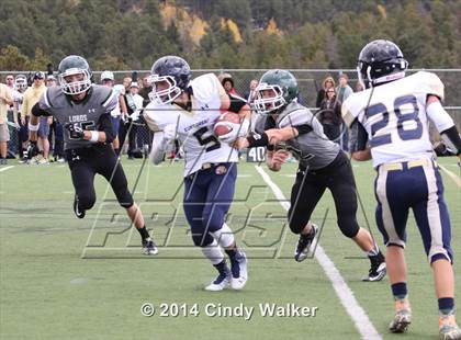 Thumbnail 2 in Evergreen @ Conifer photogallery.