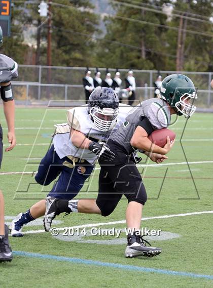 Thumbnail 3 in Evergreen @ Conifer photogallery.