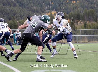 Thumbnail 1 in Evergreen @ Conifer photogallery.