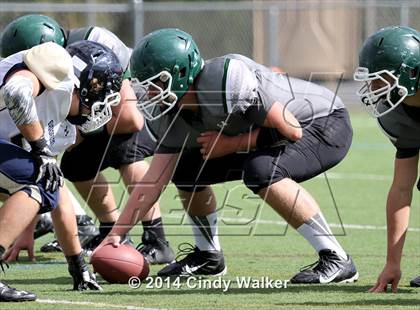 Thumbnail 3 in Evergreen @ Conifer photogallery.