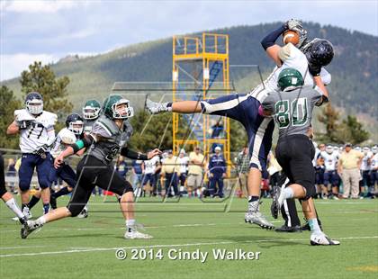 Thumbnail 1 in Evergreen @ Conifer photogallery.