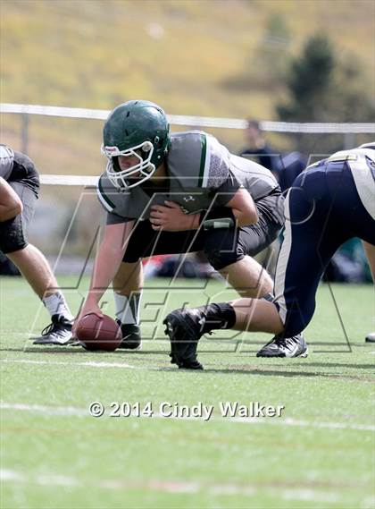 Thumbnail 1 in Evergreen @ Conifer photogallery.