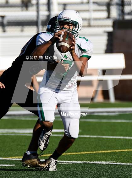 Thumbnail 2 in Breckenridge @ Mineral Wells photogallery.