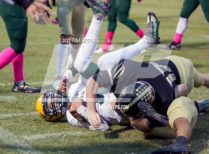 Thumbnail 2 in White Oak @ Croatan  photogallery.