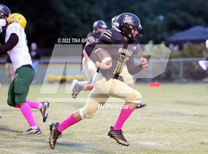 Thumbnail 2 in White Oak @ Croatan  photogallery.