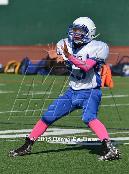 Thumbnail 3 in Los Altos @ Saratoga photogallery.