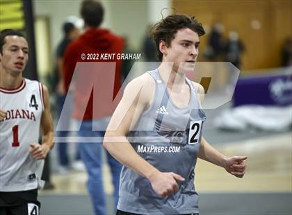 Thumbnail 1 in Indiana Runner Indoor Open photogallery.