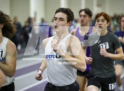 Thumbnail 2 in Indiana Runner Indoor Open photogallery.