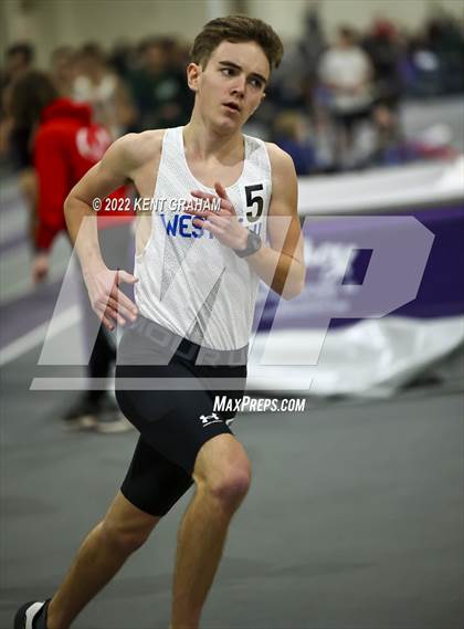 Thumbnail 1 in Indiana Runner Indoor Open photogallery.