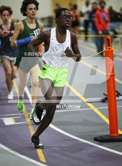 Thumbnail 3 in Indiana Runner Indoor Open photogallery.