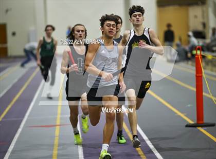 Thumbnail 1 in Indiana Runner Indoor Open photogallery.