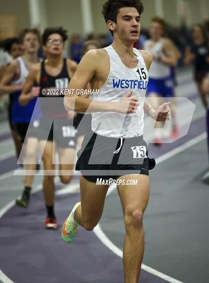 Thumbnail 1 in Indiana Runner Indoor Open photogallery.