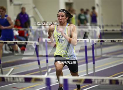 Thumbnail 1 in Indiana Runner Indoor Open photogallery.