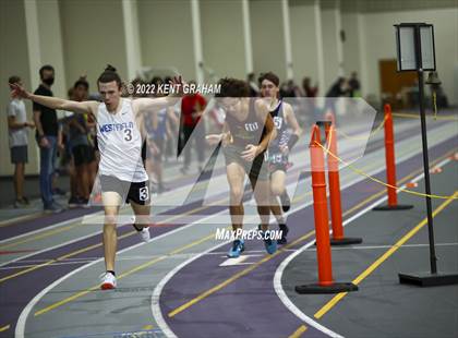 Thumbnail 3 in Indiana Runner Indoor Open photogallery.