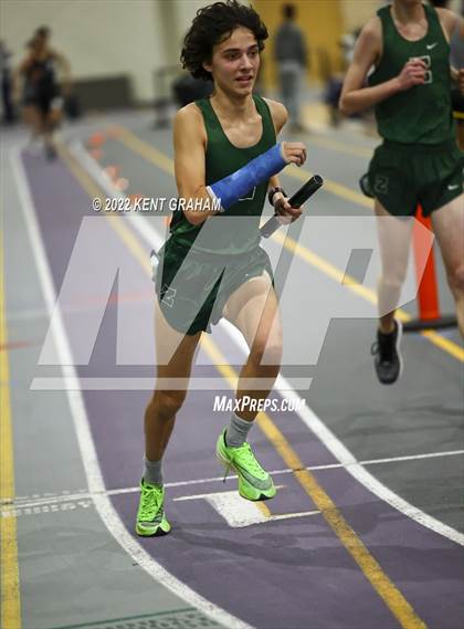 Thumbnail 2 in Indiana Runner Indoor Open photogallery.