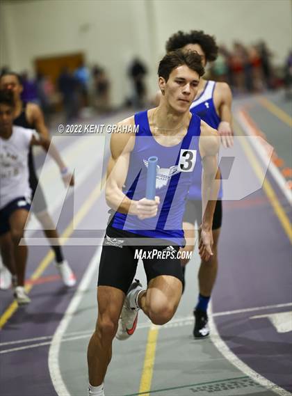 Thumbnail 2 in Indiana Runner Indoor Open photogallery.