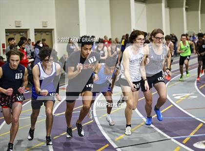 Thumbnail 2 in Indiana Runner Indoor Open photogallery.