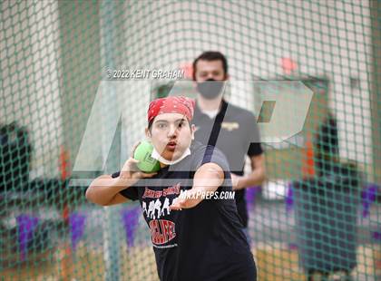 Thumbnail 1 in Indiana Runner Indoor Open photogallery.