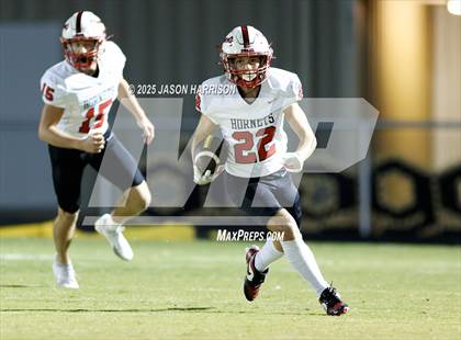 Thumbnail 2 in Muenster @ Chico photogallery.