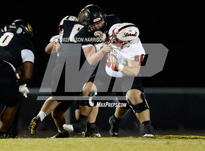 Thumbnail 1 in Muenster @ Chico photogallery.