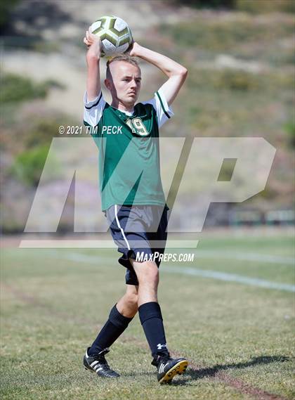 Thumbnail 3 in El Modena @ Brea Olinda photogallery.