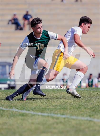 Thumbnail 3 in El Modena @ Brea Olinda photogallery.