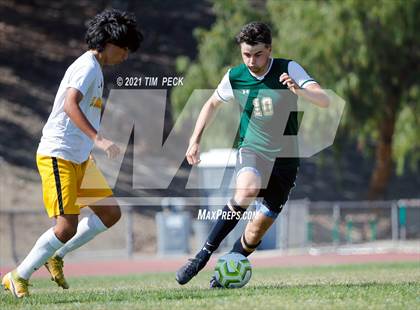 Thumbnail 1 in El Modena @ Brea Olinda photogallery.