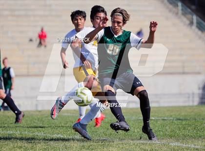 Thumbnail 3 in El Modena @ Brea Olinda photogallery.