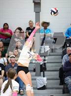 Photo from the gallery "Benjamin @ Graford"