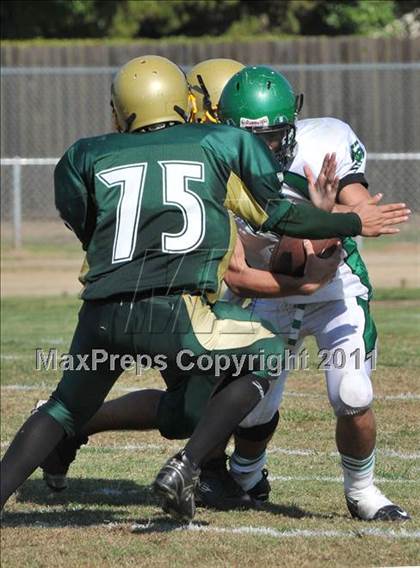 Thumbnail 2 in JV: El Camino @ Rio Americano photogallery.